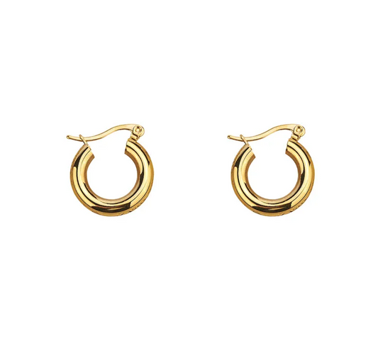 Lou Gold Plated Waterproof Tarnish Free Earrings