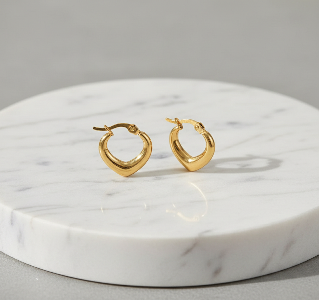 Reezy 18K Gold Plated Stainless Steel Earrings Jewelry