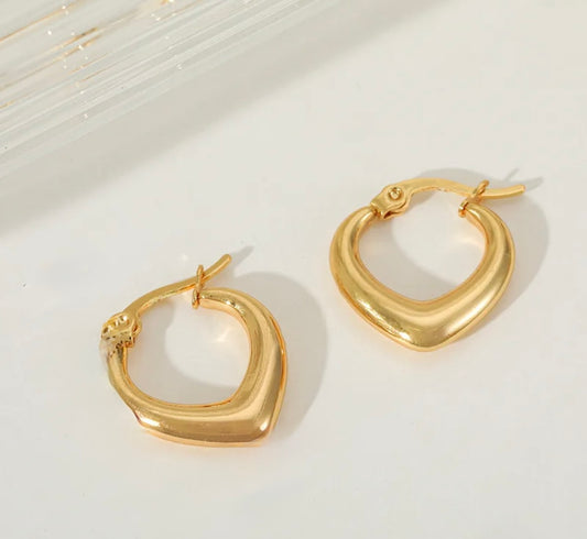 Reezy 18K Gold Plated Stainless Steel Earrings Jewelry