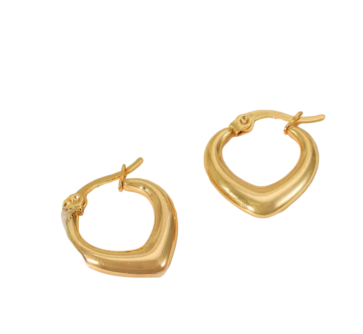 Reezy 18K Gold Plated Stainless Steel Earrings Jewelry