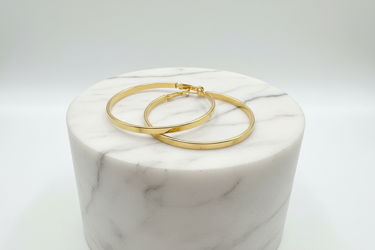 Rihs 18K Gold Plated Stainless Steel Earrings Jewelry