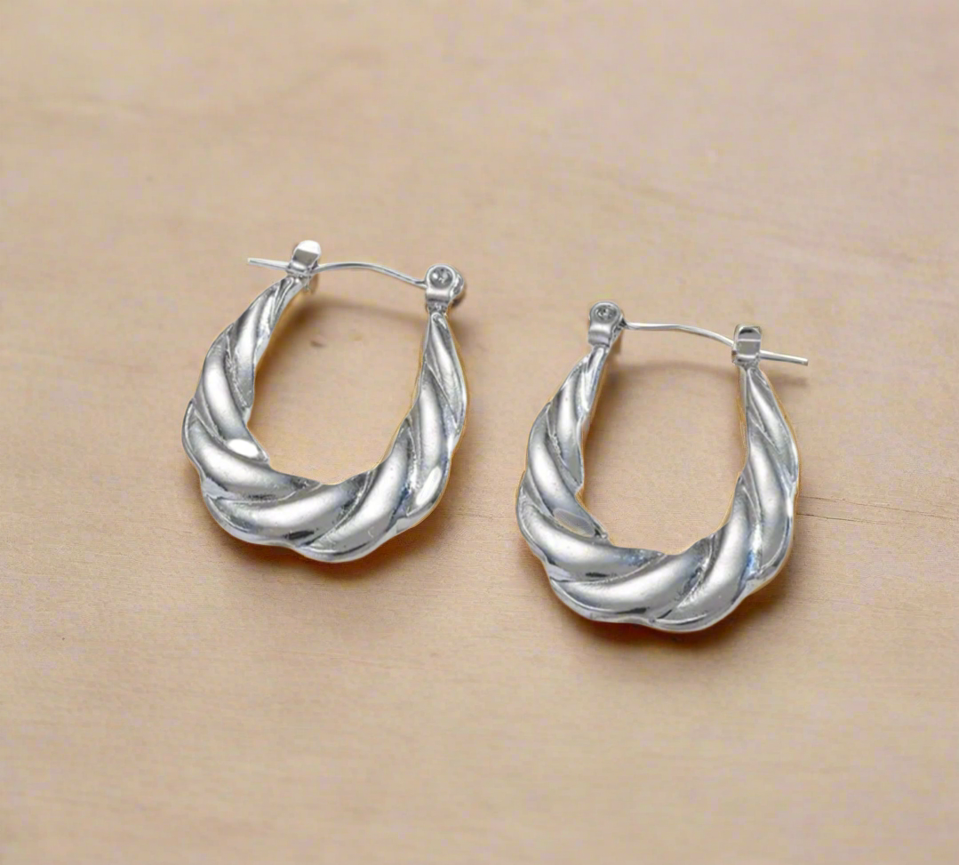 Sike Earrings, Stainless Steel Silver Hoop Jewelry