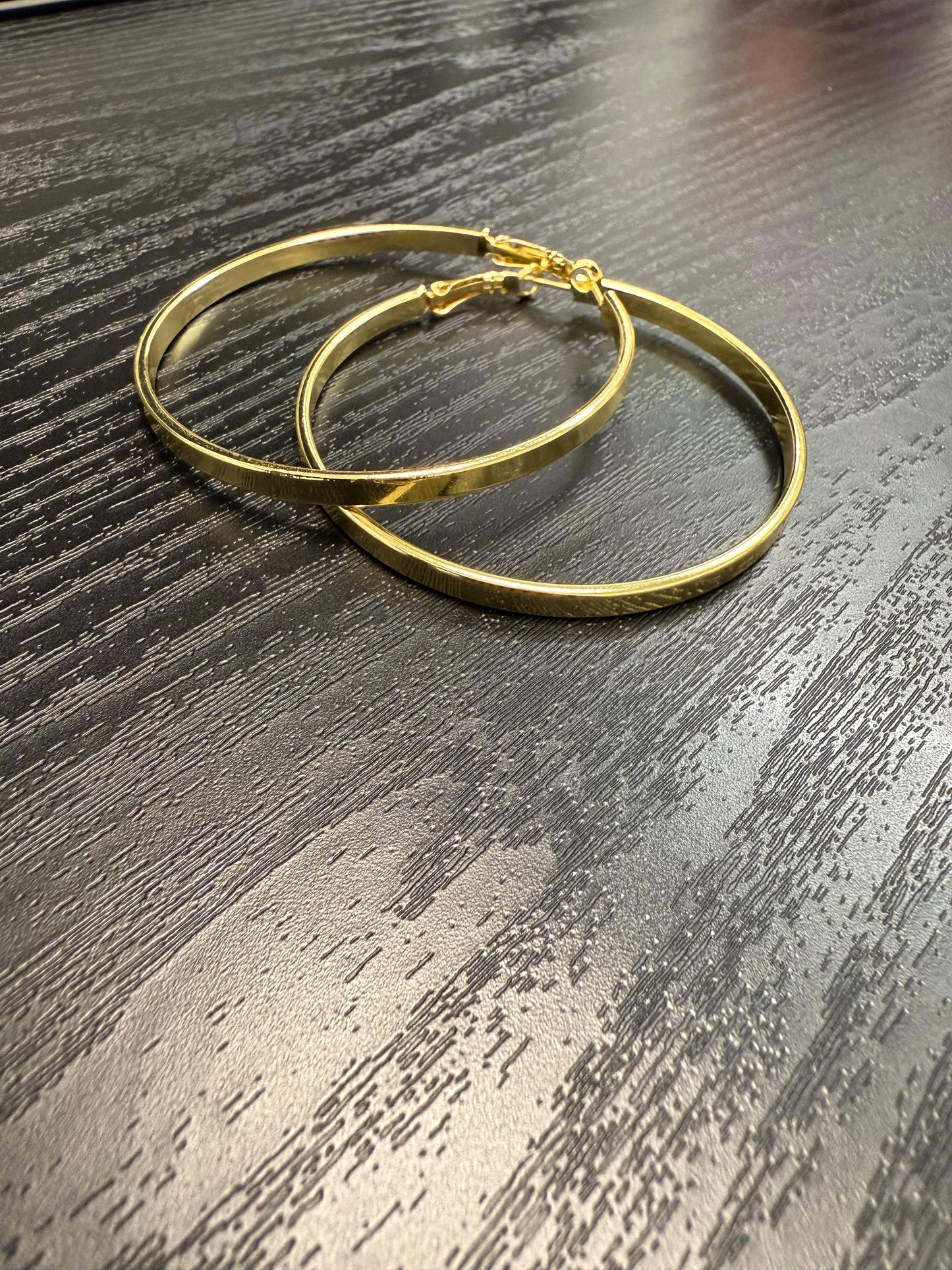 Rihs 18K Gold Plated Stainless Steel Earrings Jewelry