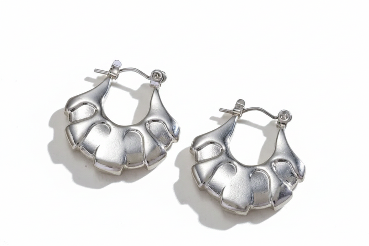 Caute Earrings, Stainless Steel Silver Hoop Jewelry