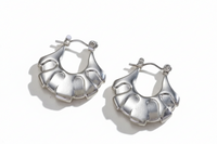 Caute Earrings, Stainless Steel Silver Hoop Jewelry