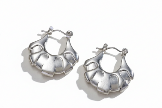 Caute Earrings, Stainless Steel Silver Hoop Jewelry
